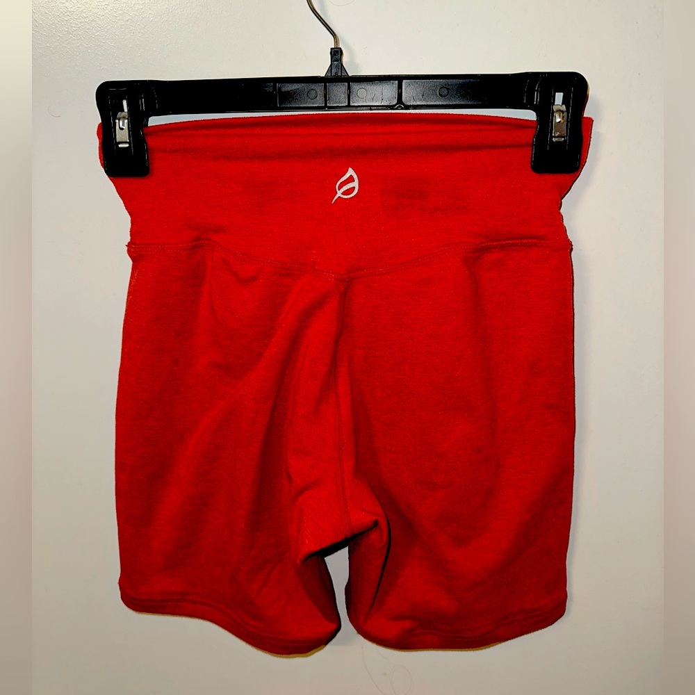 Bare 6in PTULA shorts